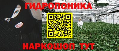 амф Пугачёв