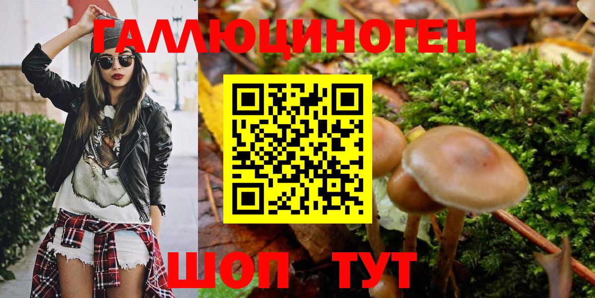 Псилоцибиновые грибы Psilocybe  Вход с VPN  Галлюциногенные грибы Psilocybe  что такое наркотик  Строитель 