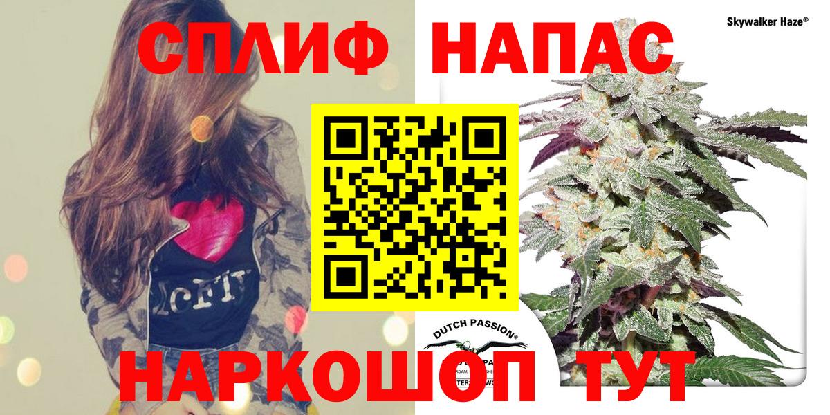 Конопля White Widow Строитель